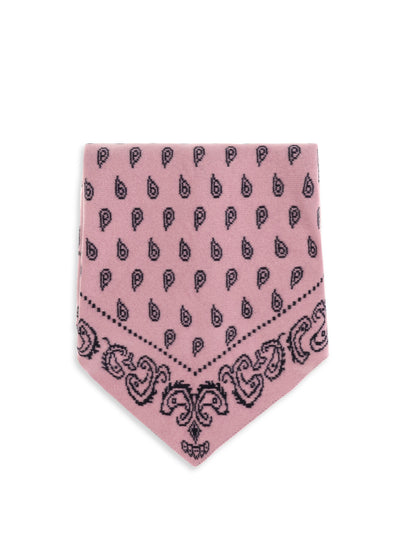 the wild rag scarf
