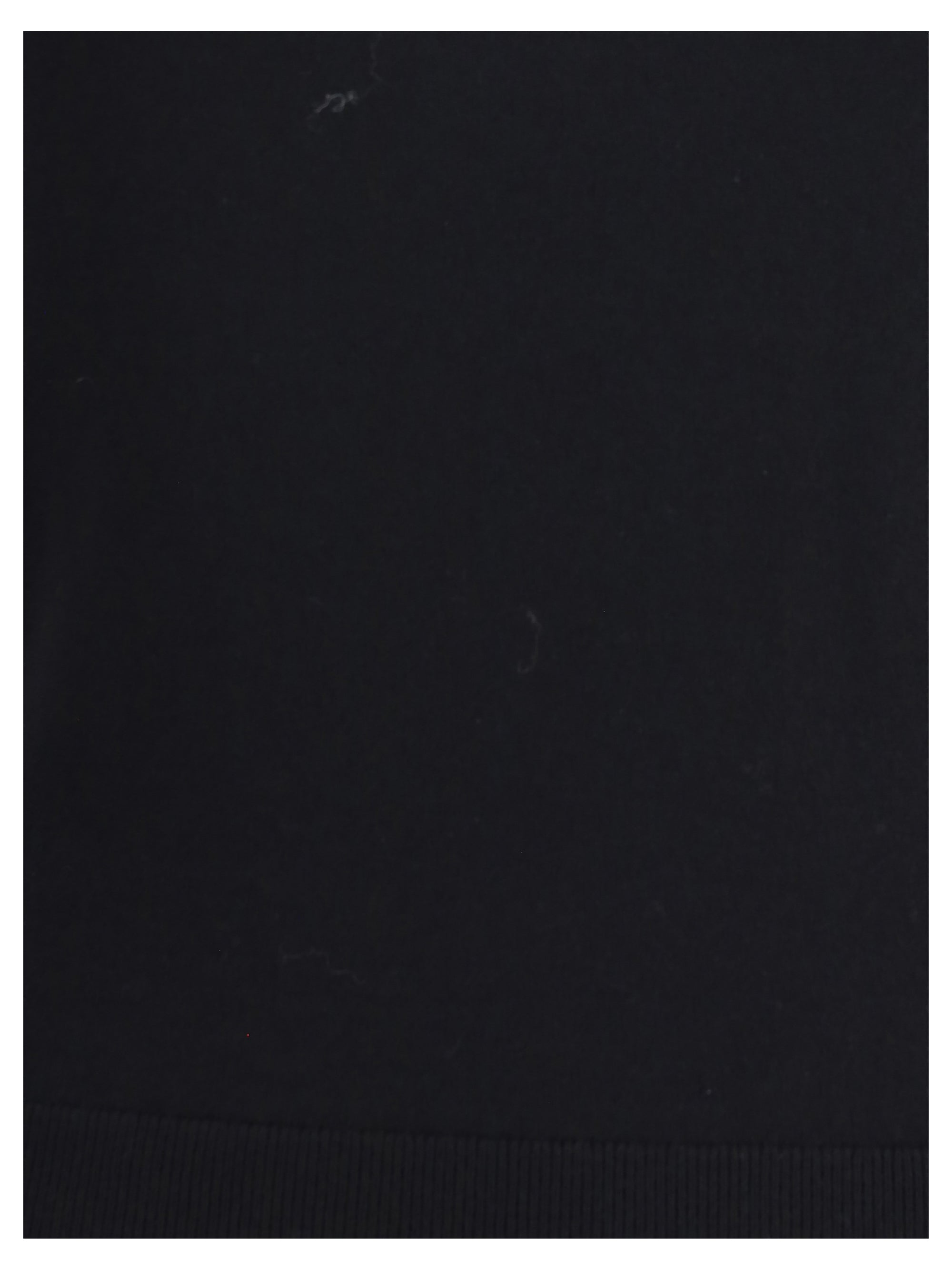 LORO PIANA 40 piuma knit top