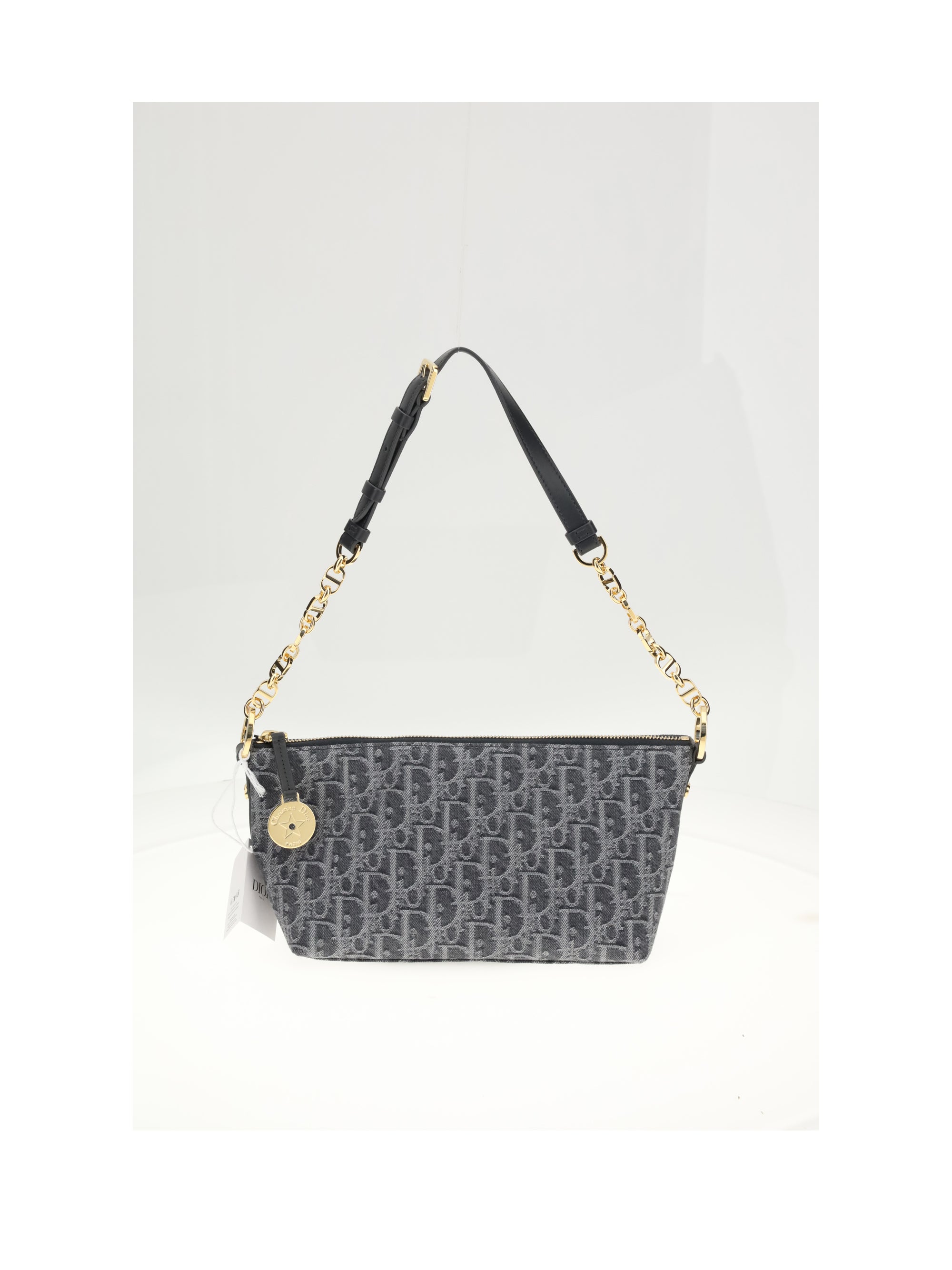DIOR OS diorstar pouch