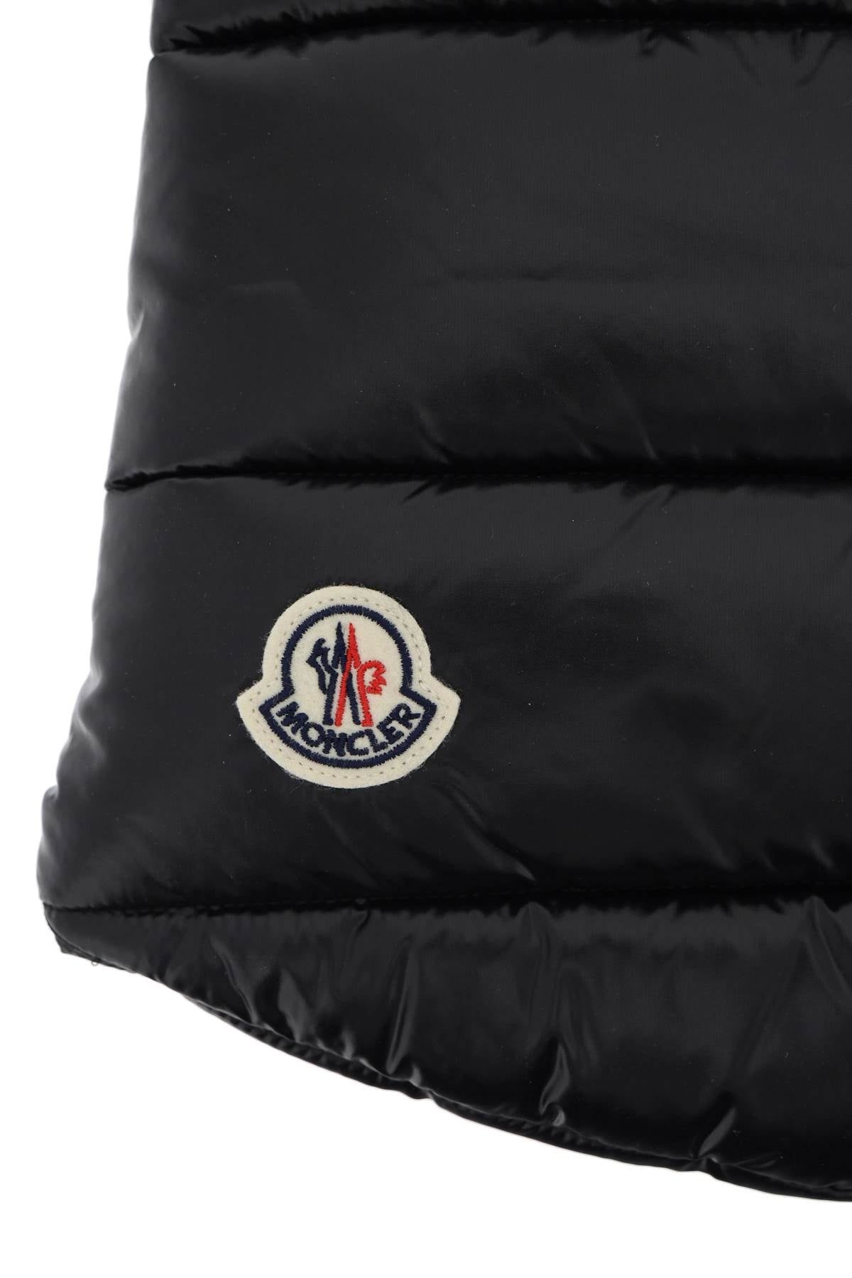 dog down vest