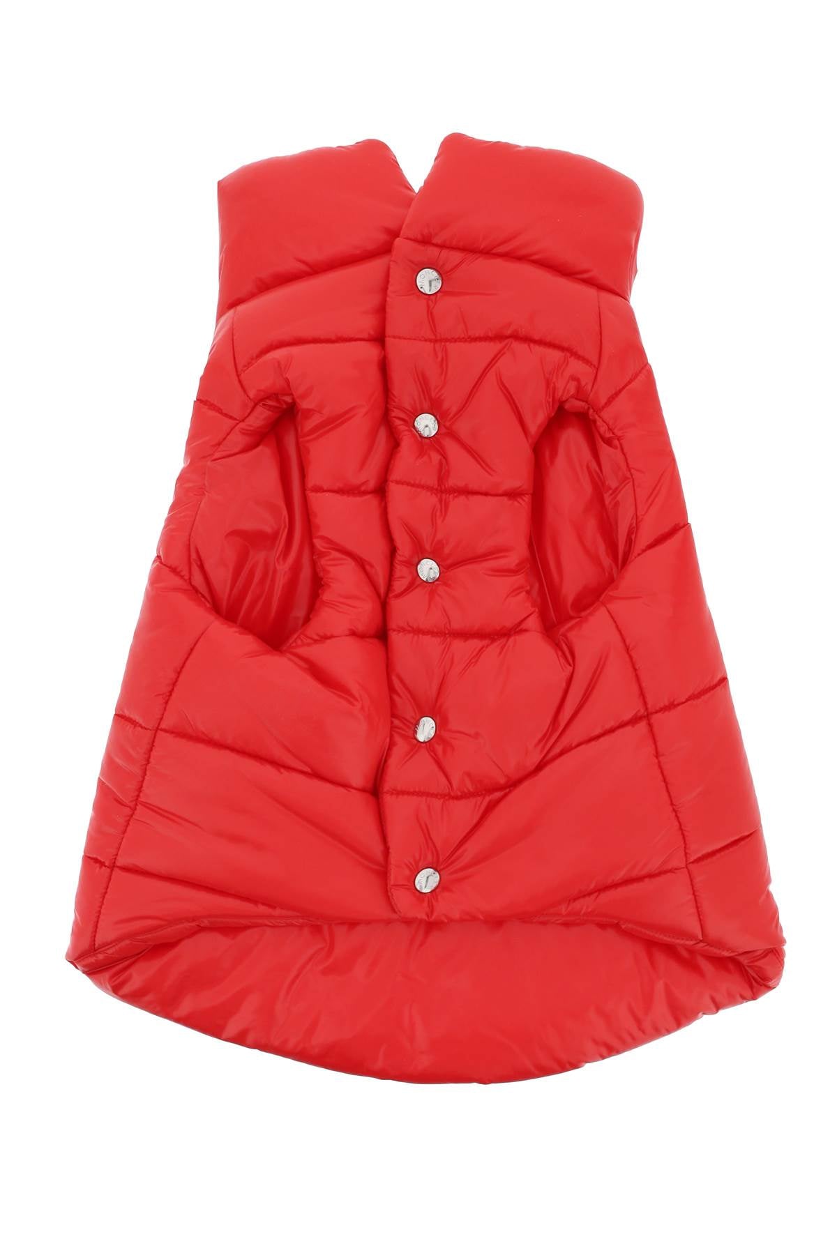 dog down vest