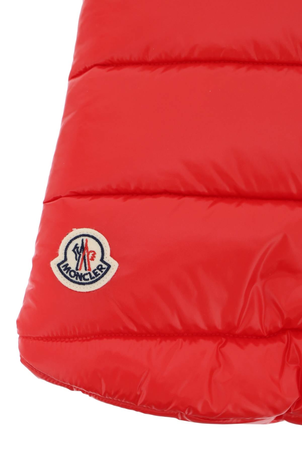 dog down vest