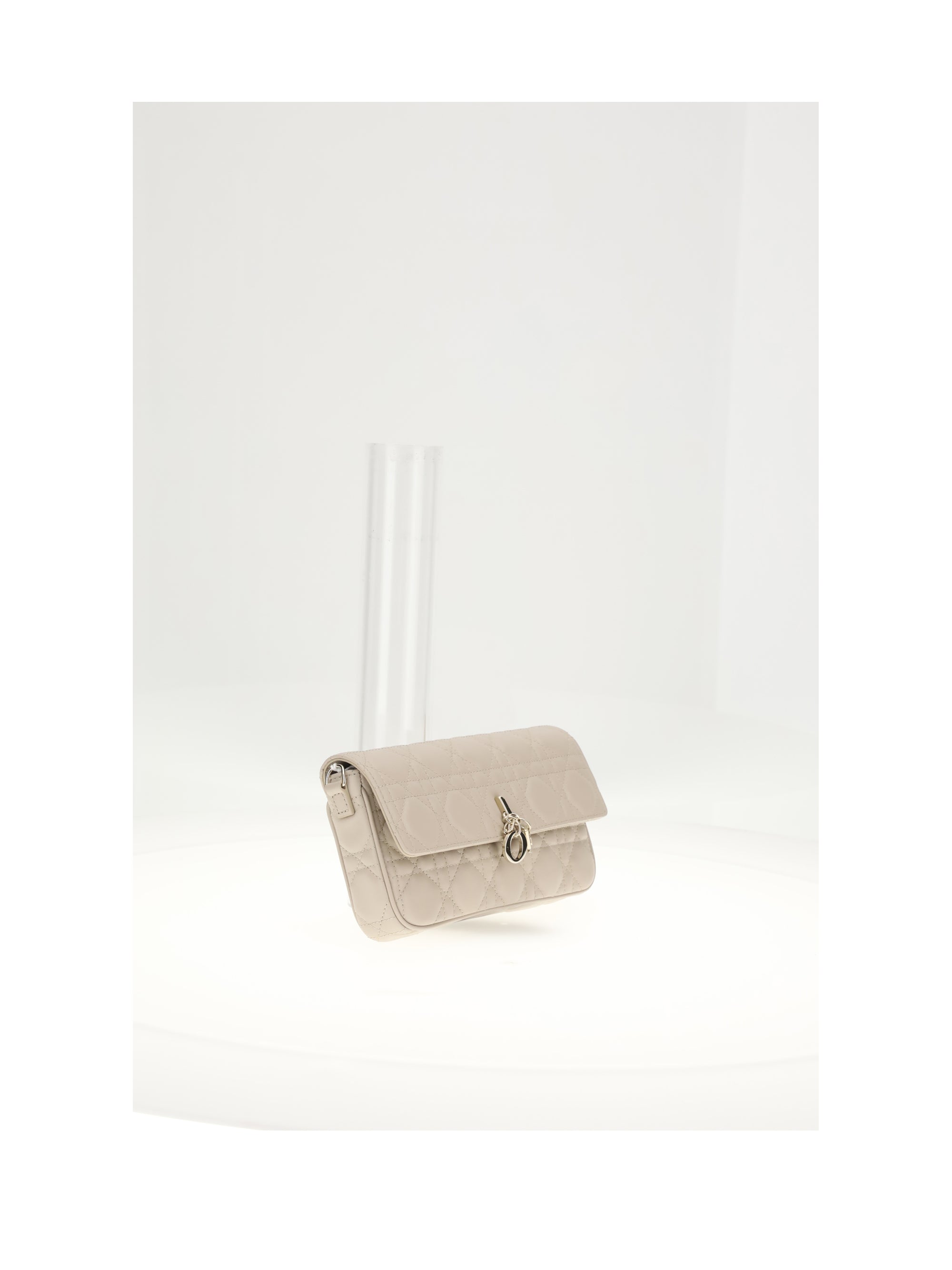 DIOR OS my dior pouch lambskin