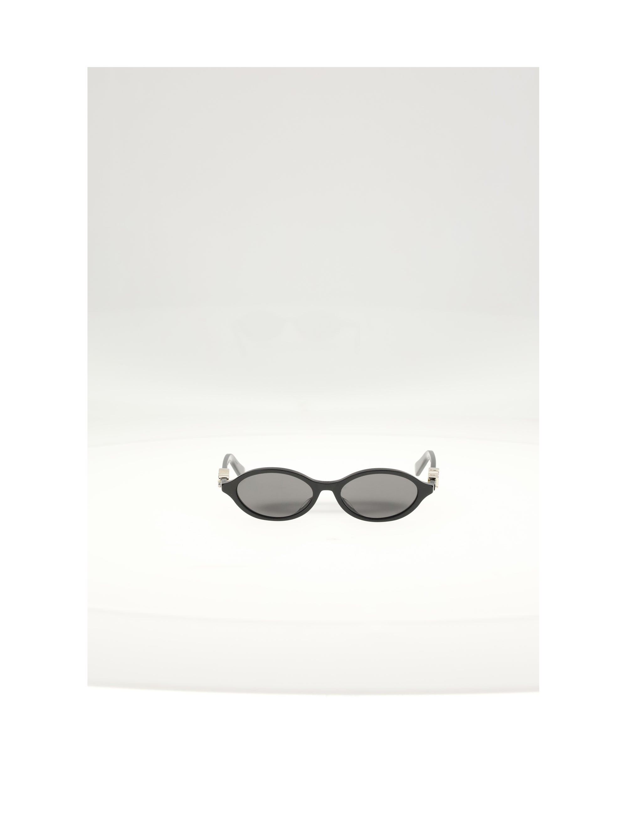 DIOR OS diortreasure r1isr sunglasses