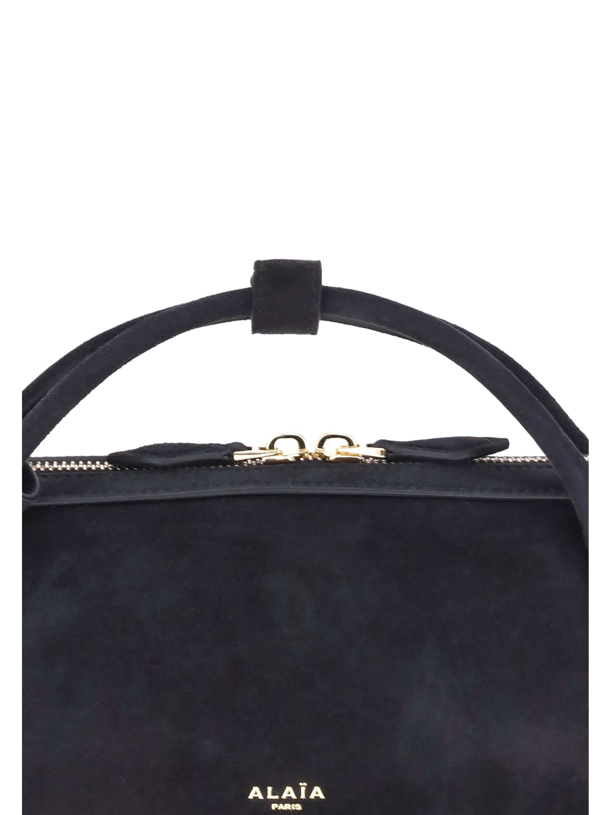 ALAIA OS le teckel clutch