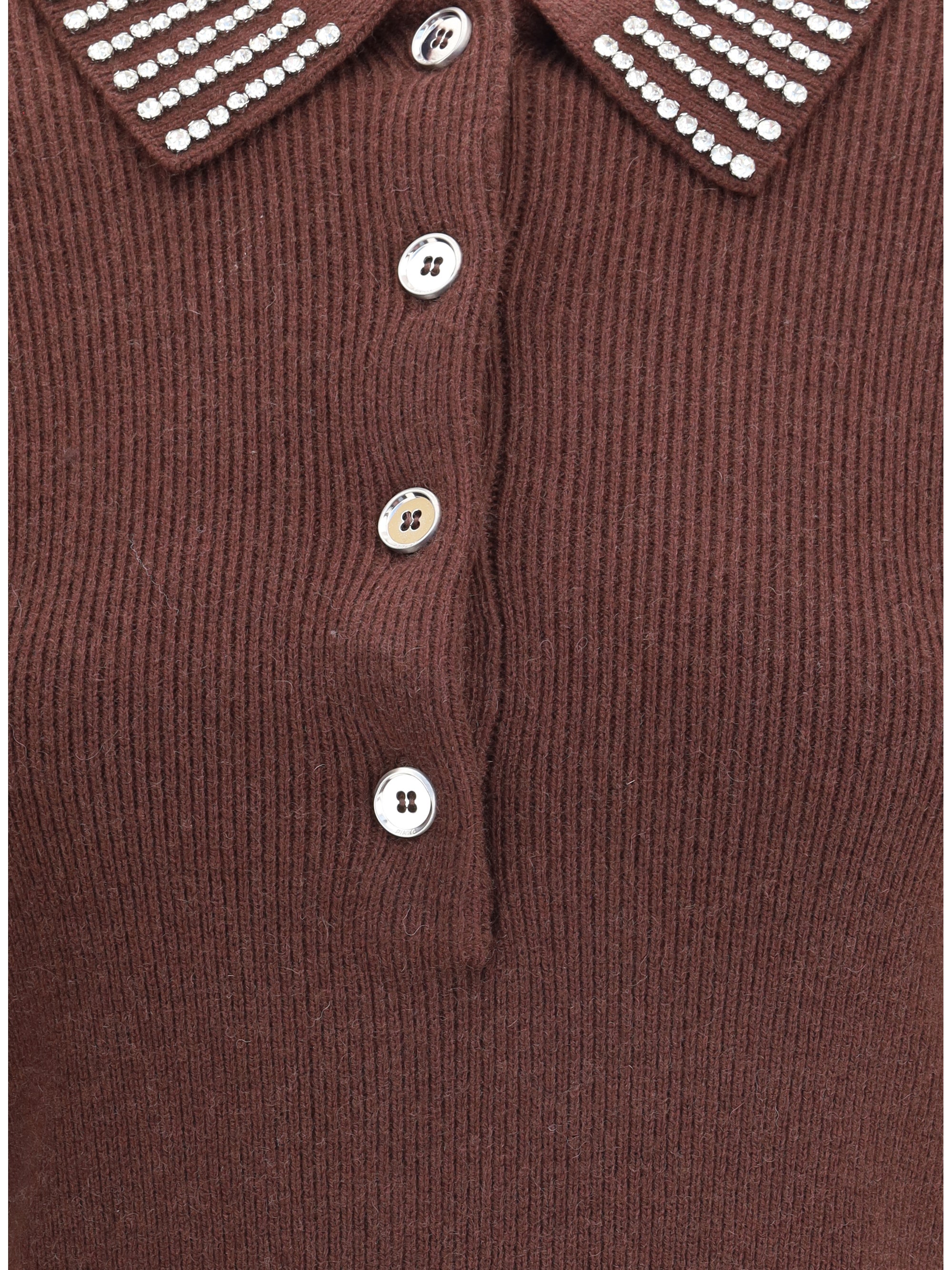 PINKO S emilia sweater with strass