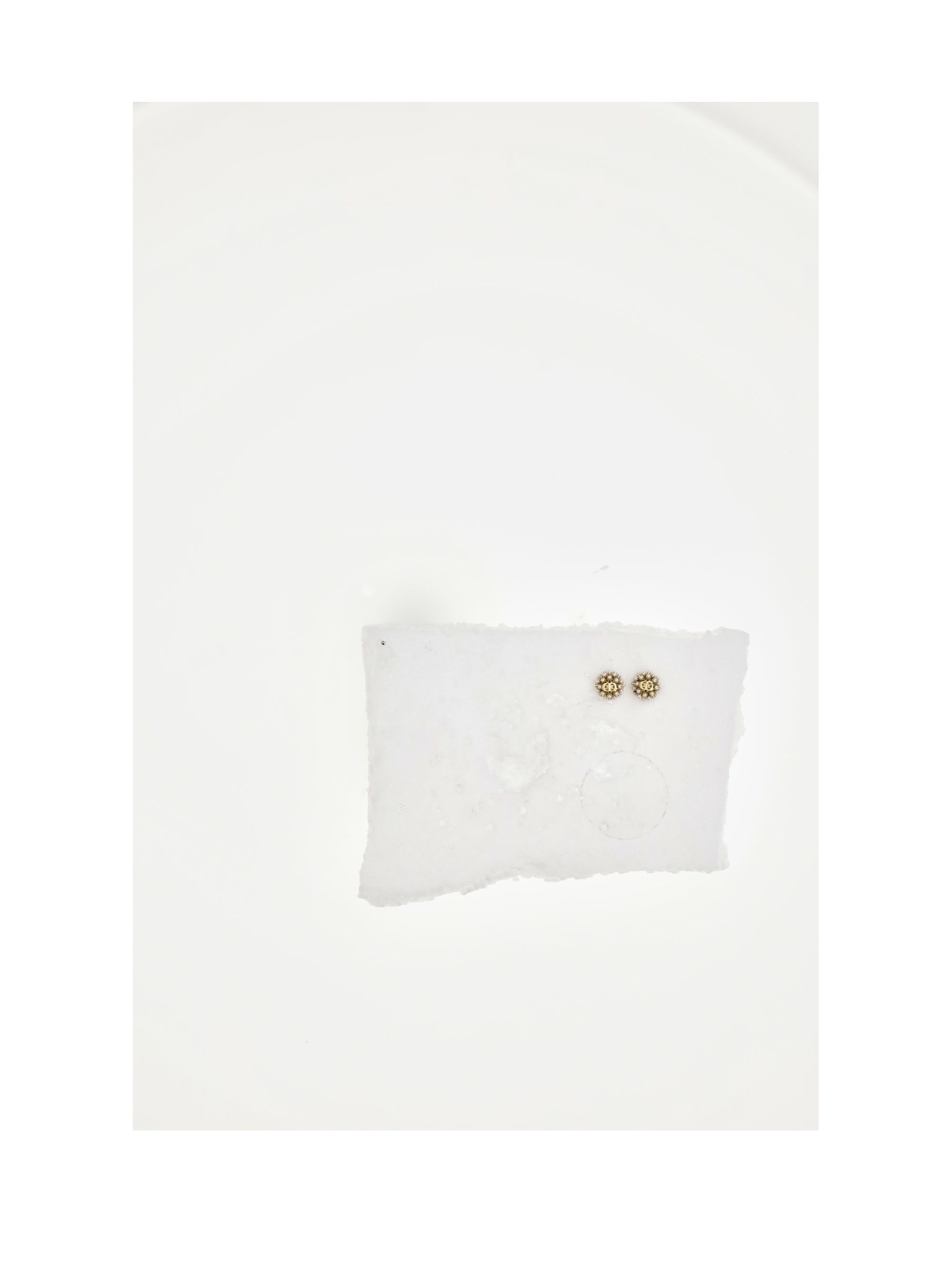 DIOR OS dior tribales earrings