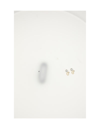 dior oblique tribals