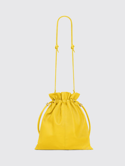 woman's crossbody bag