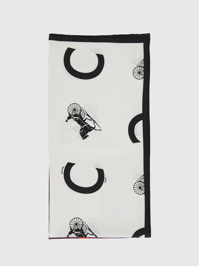 woman's scarf