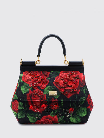 woman's handbag