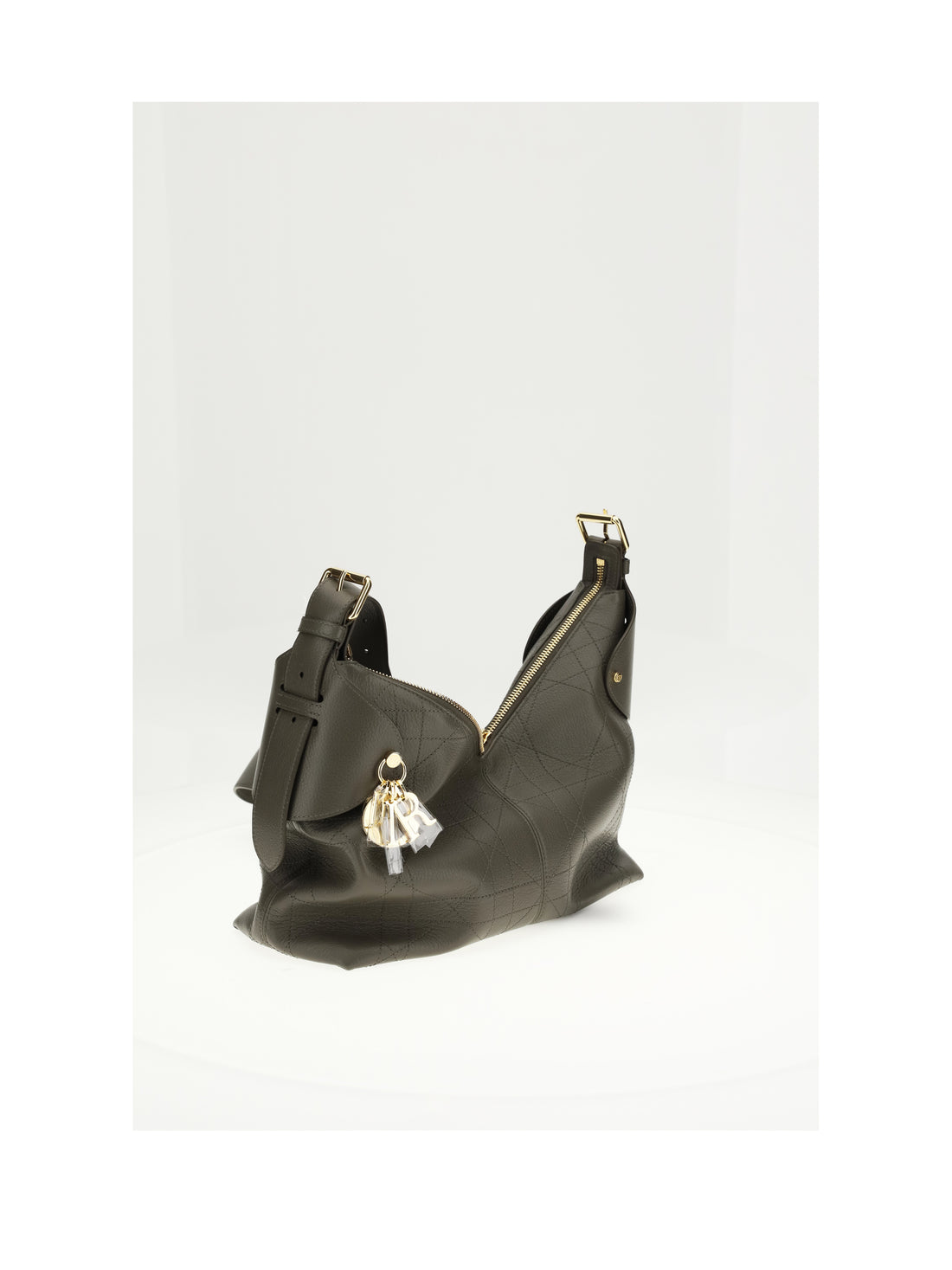 DIOR OS medium dior voyage