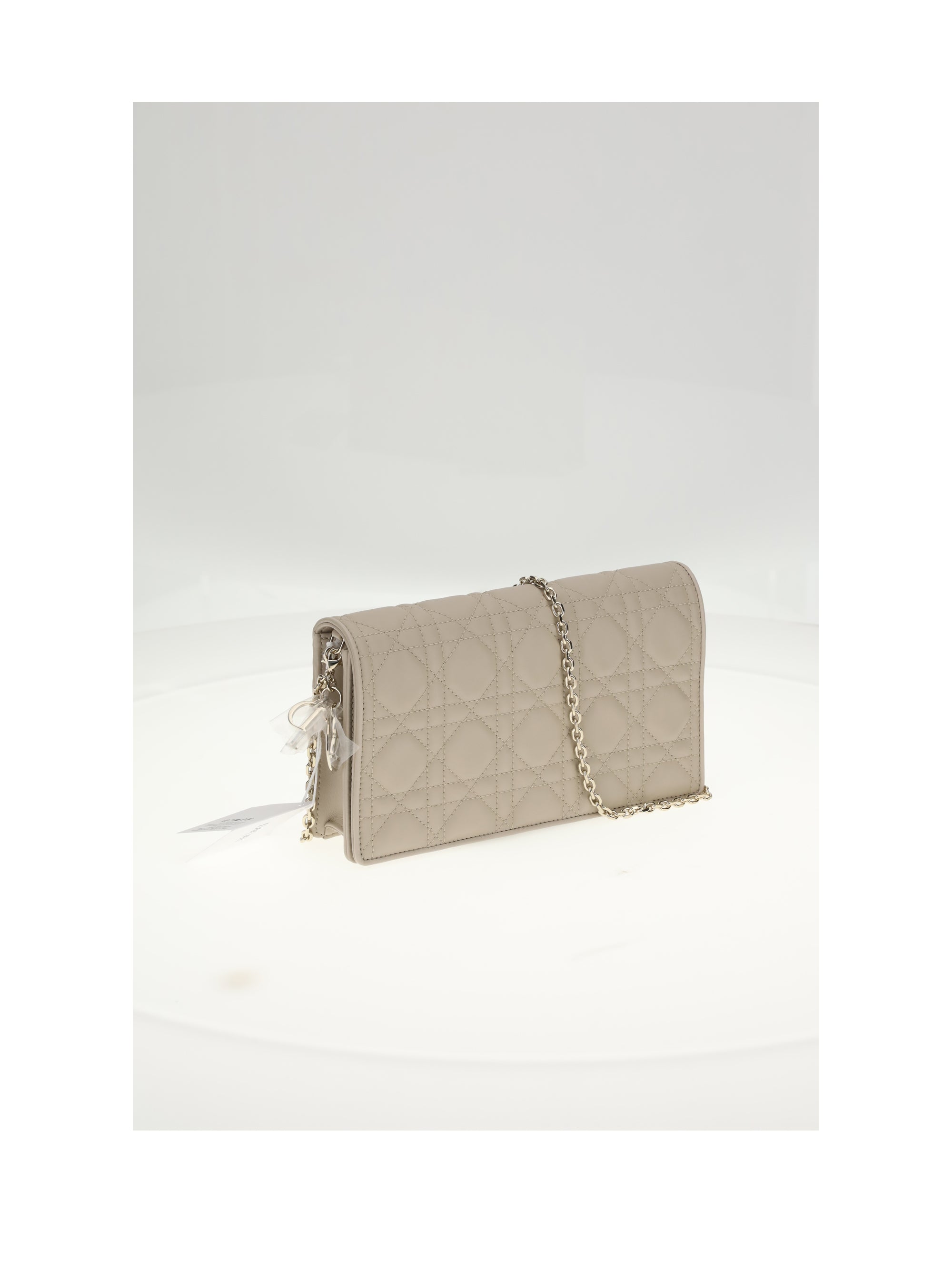 lady dior pouch