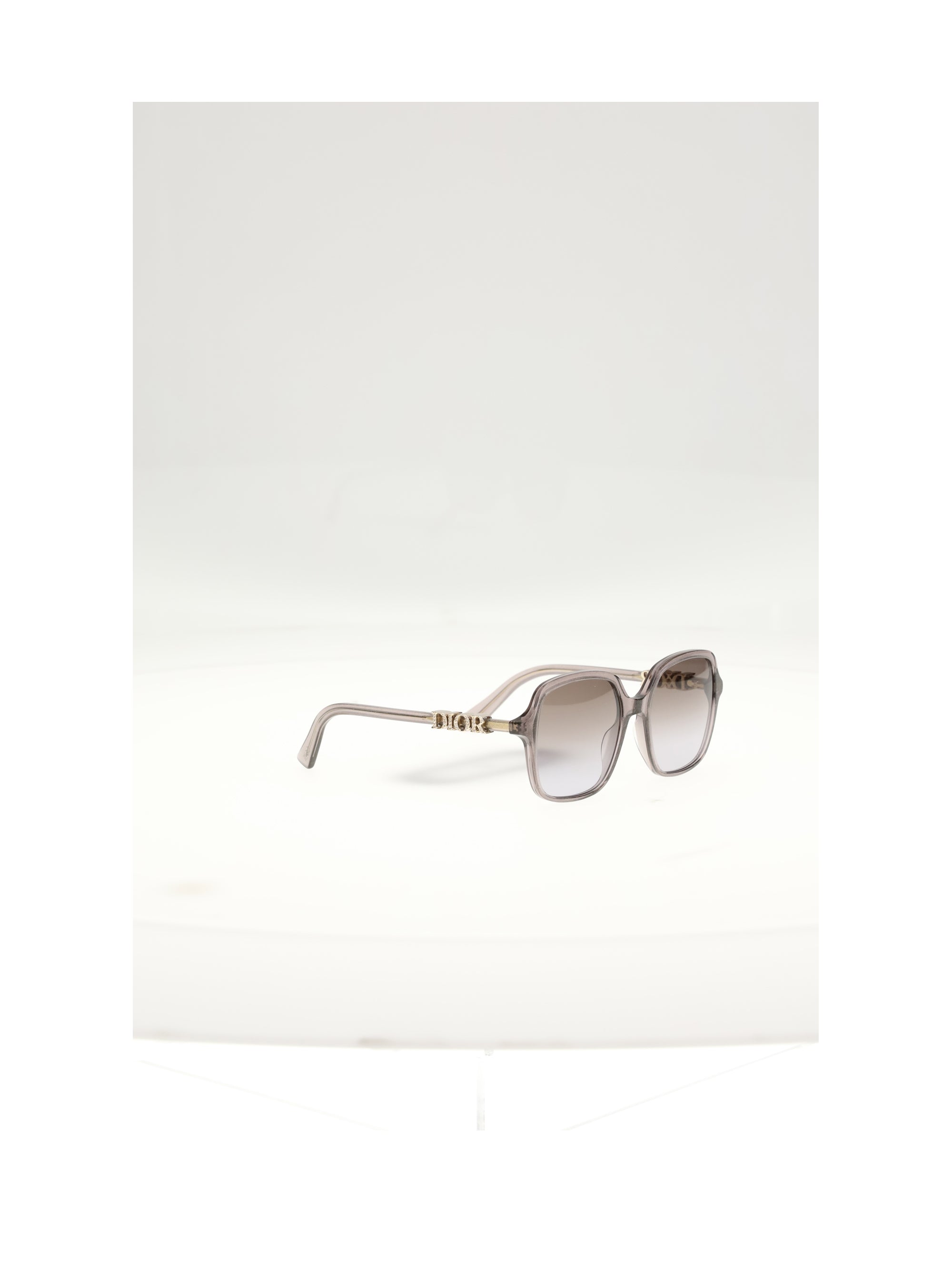 diortreasure s1isr sunglasses