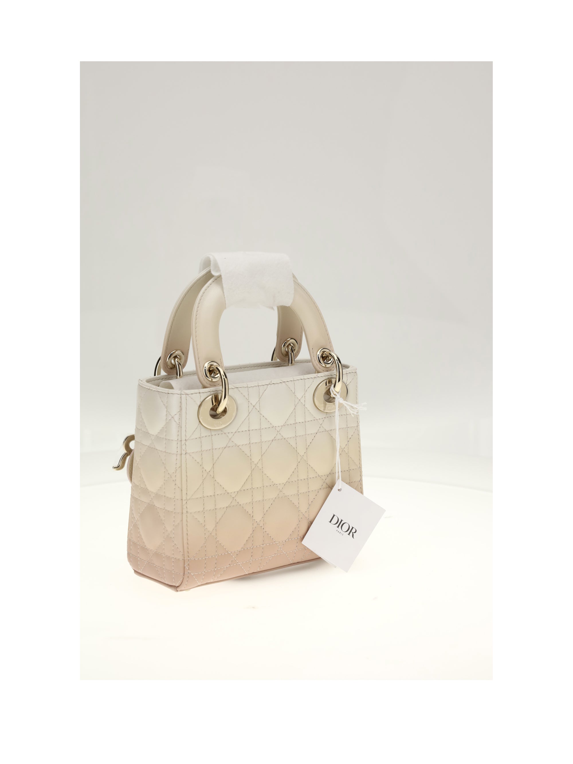 mini lady dior degrade strass charms