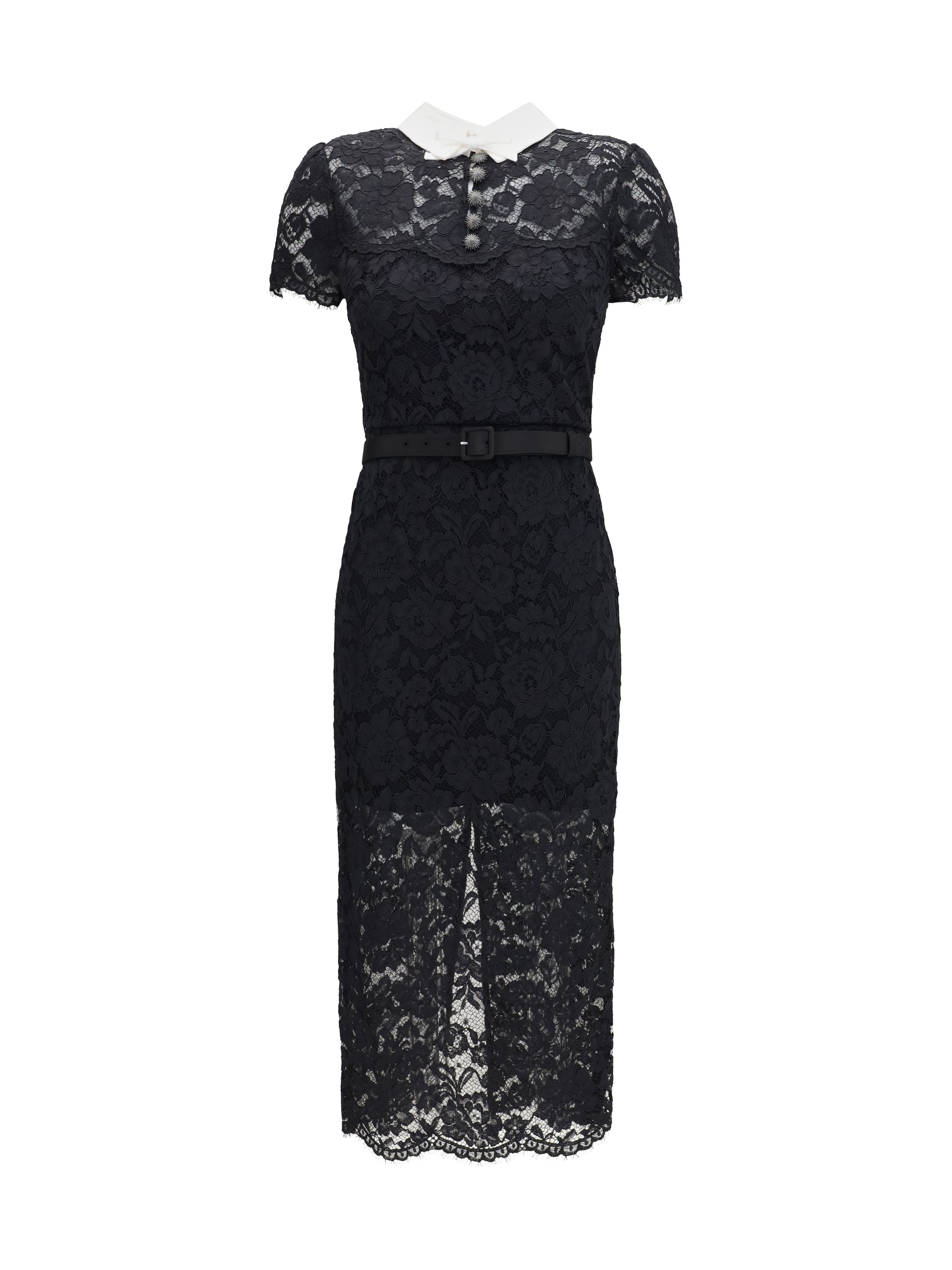 lace contrast collar midi dress