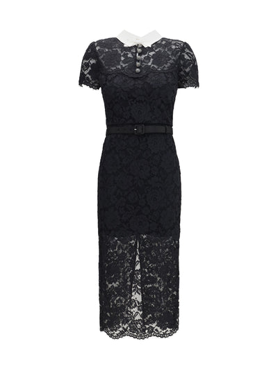 lace contrast collar midi dress