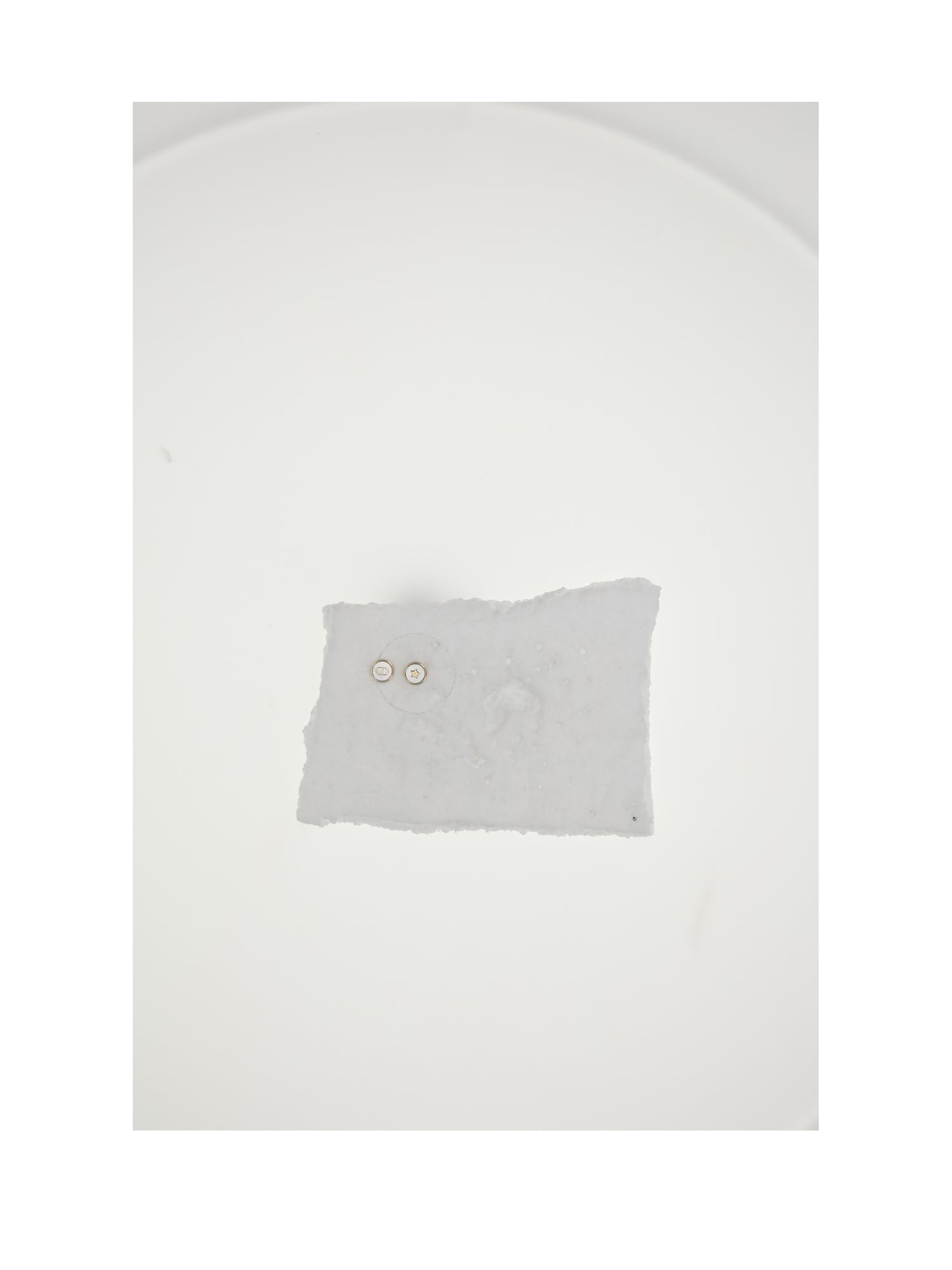 DIOR OS d-luck stud earrings