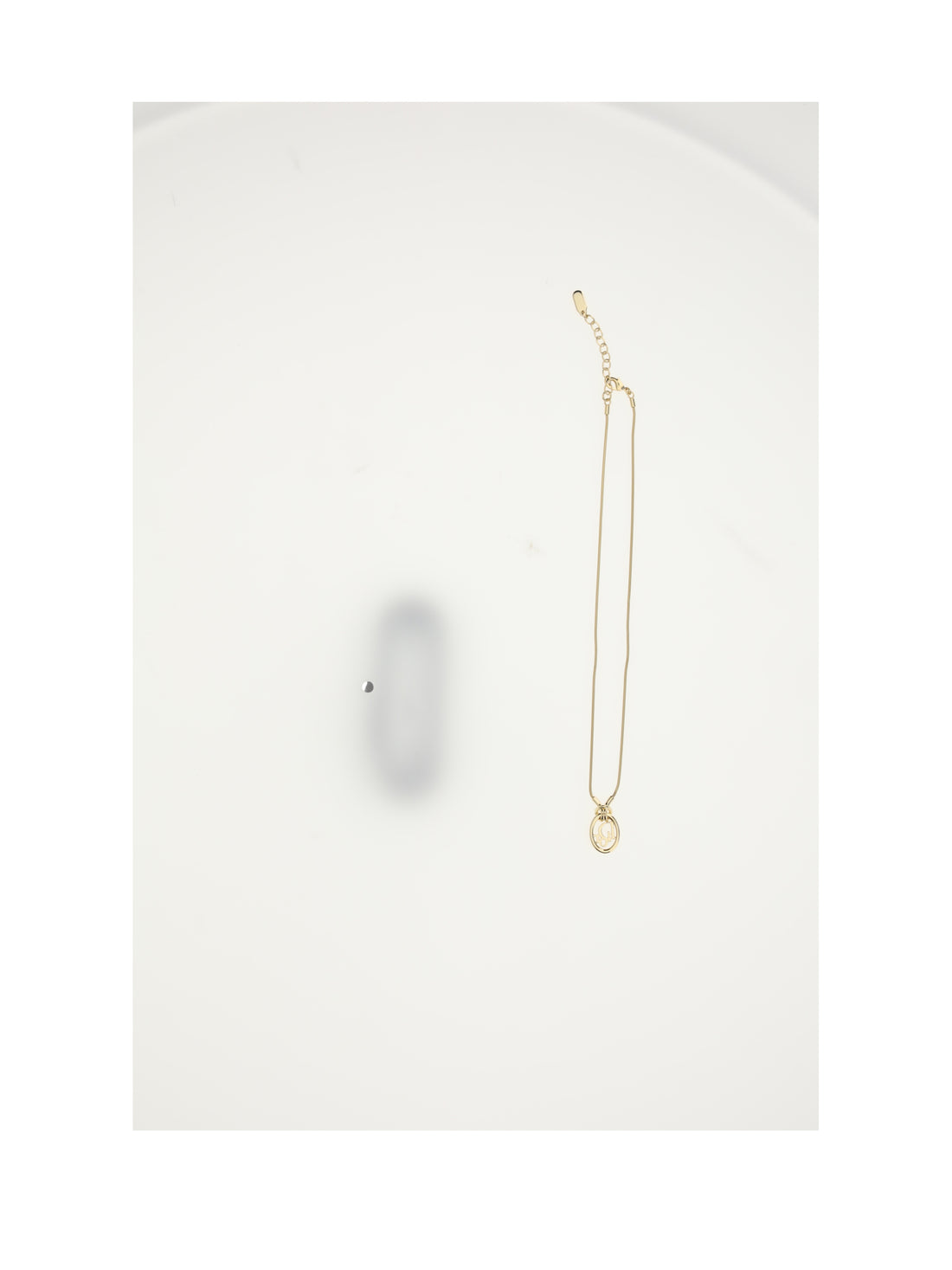 DIOR OS dior oblique neacklace