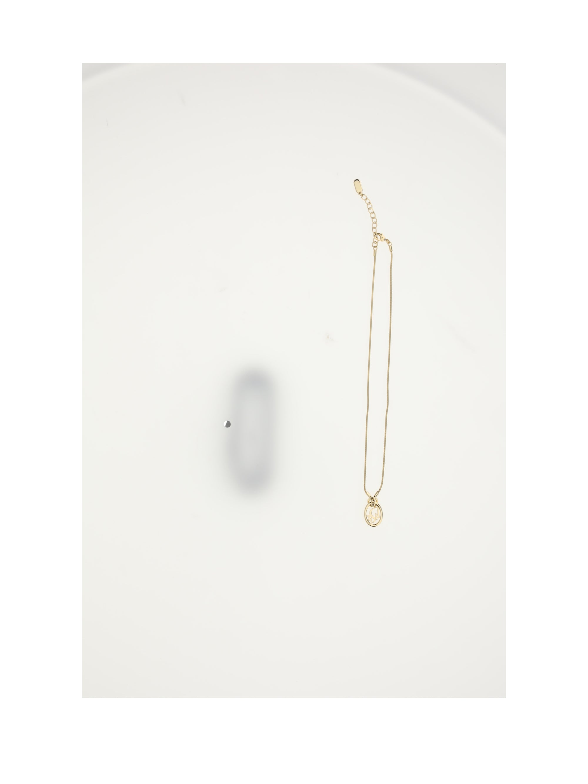 dior oblique neacklace