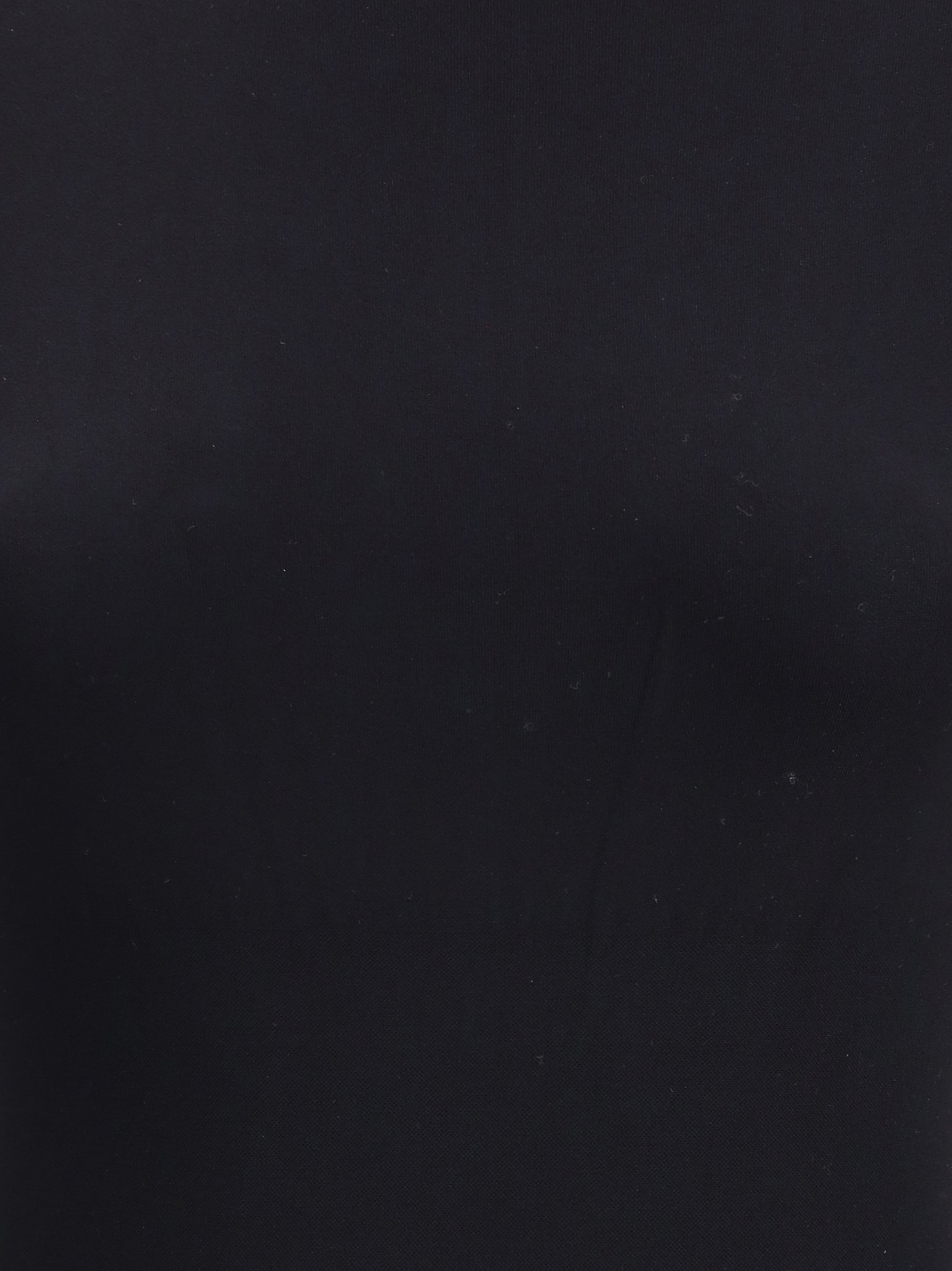 shaping body