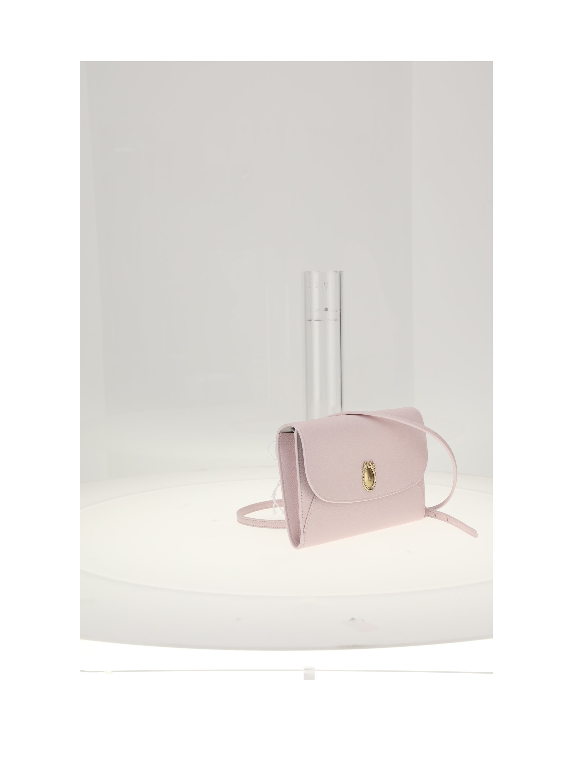 dior medallion bag