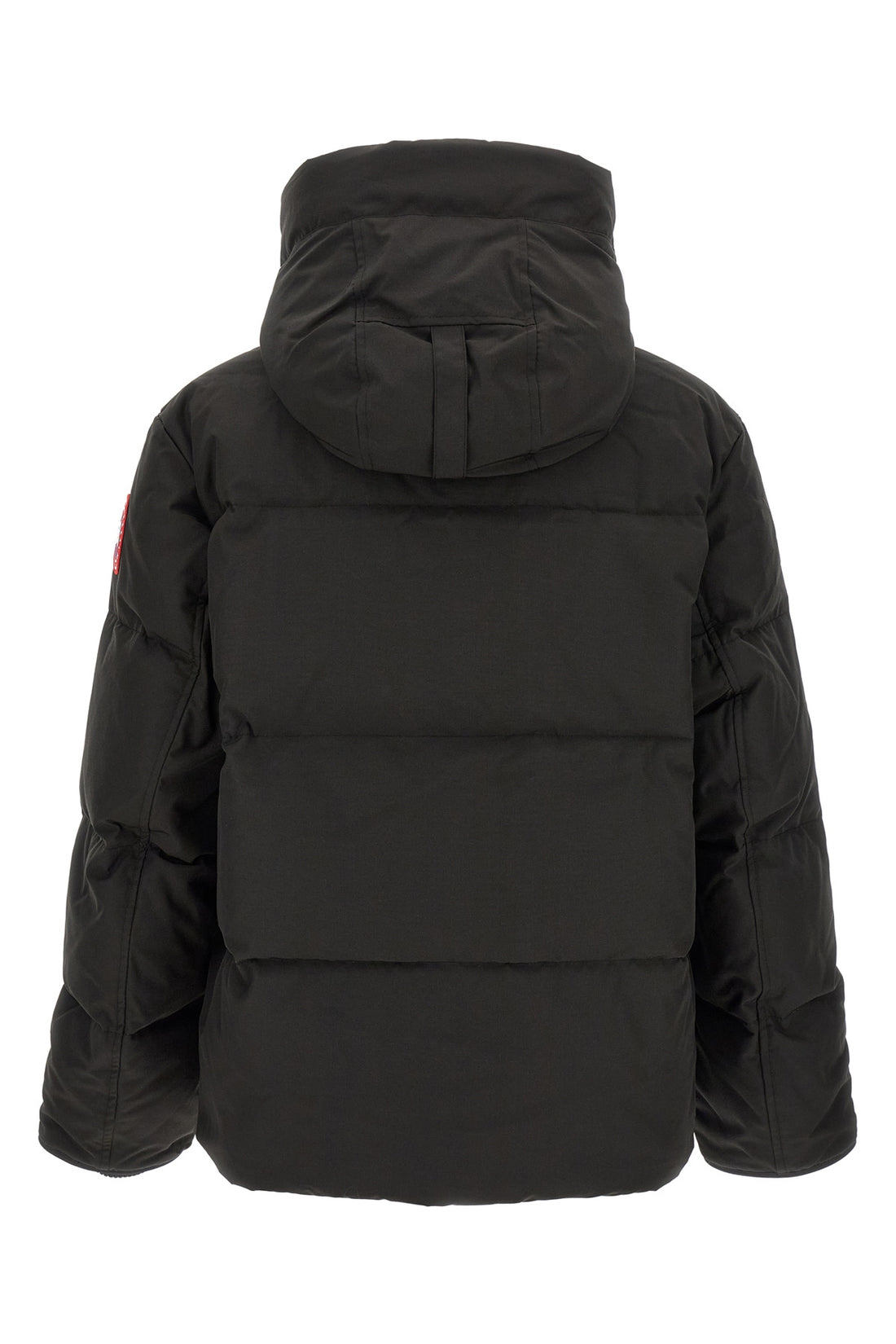 CANADA GOOSE L the canada goose seymour down padded parka
