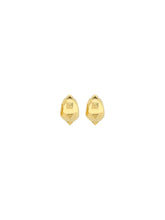 Valentino Garavani Earrings