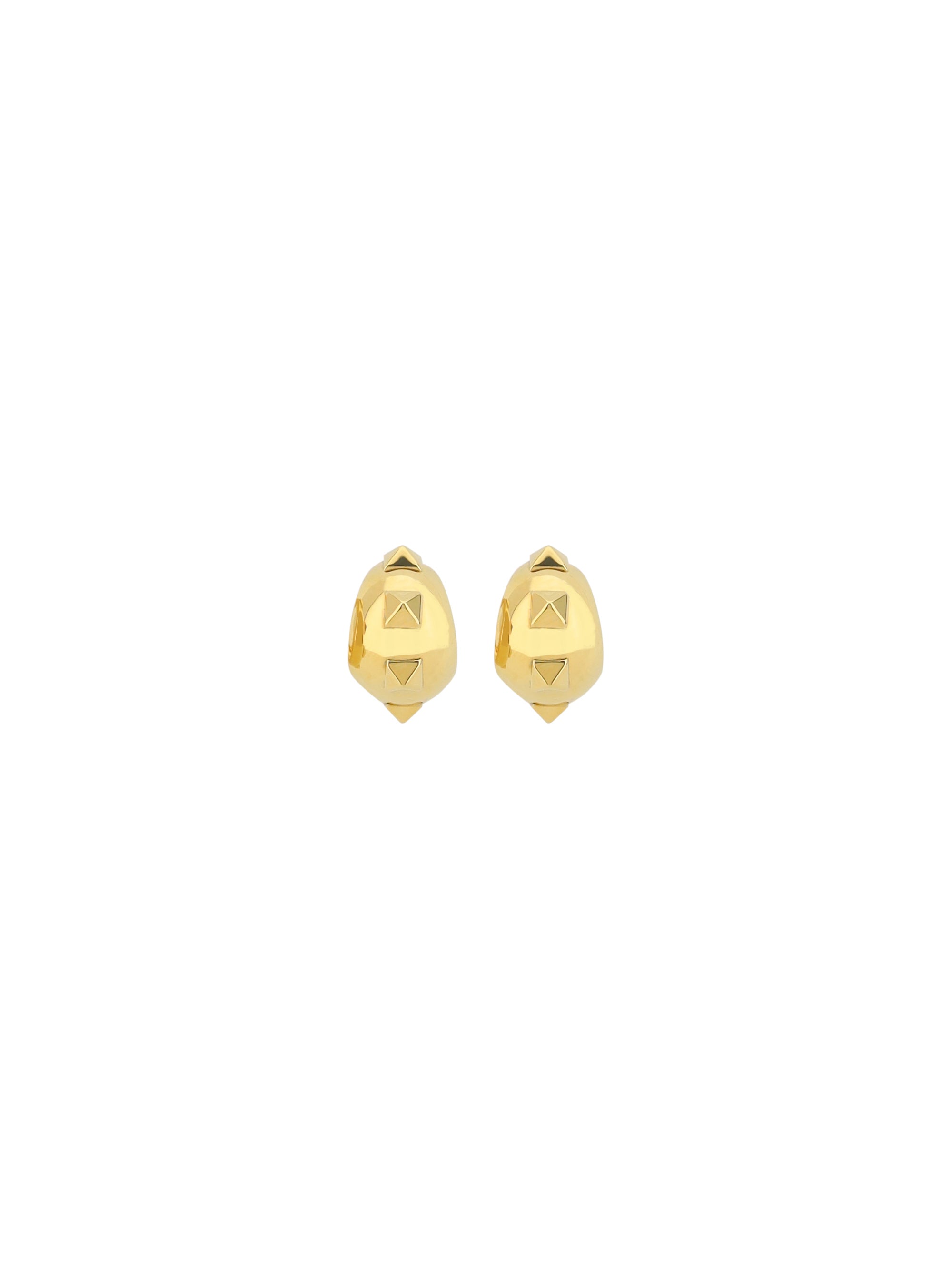 Valentino Garavani Earrings