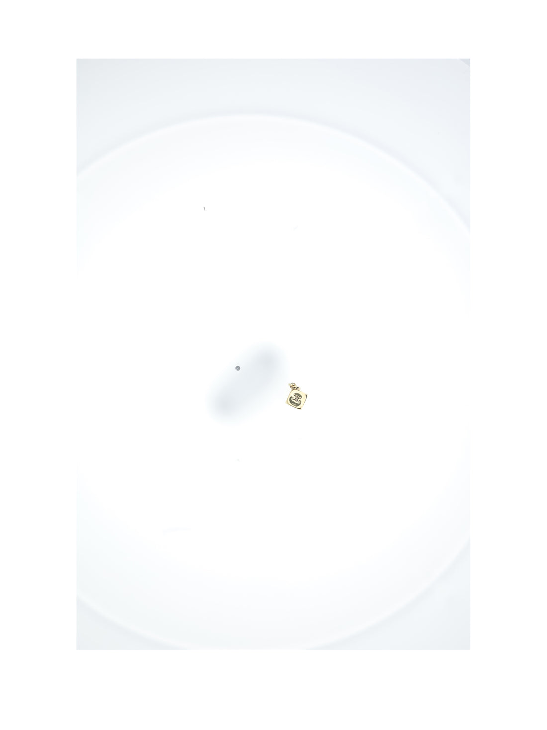 CELINE OS triomphe dice