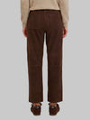 sara pants in brown suede