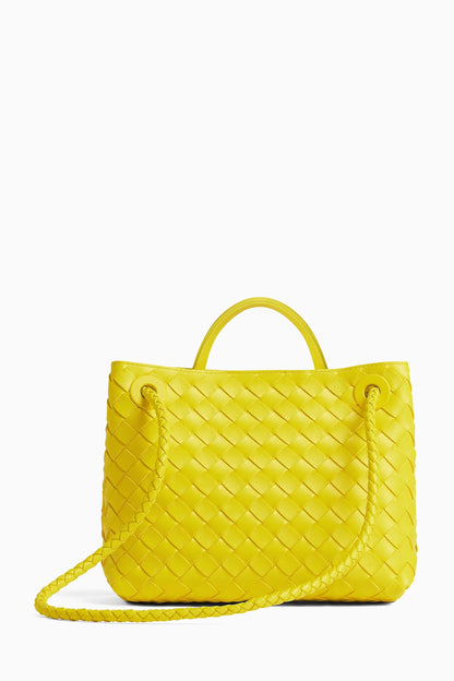 Andiamo Small Intrecciato Leather Tote
