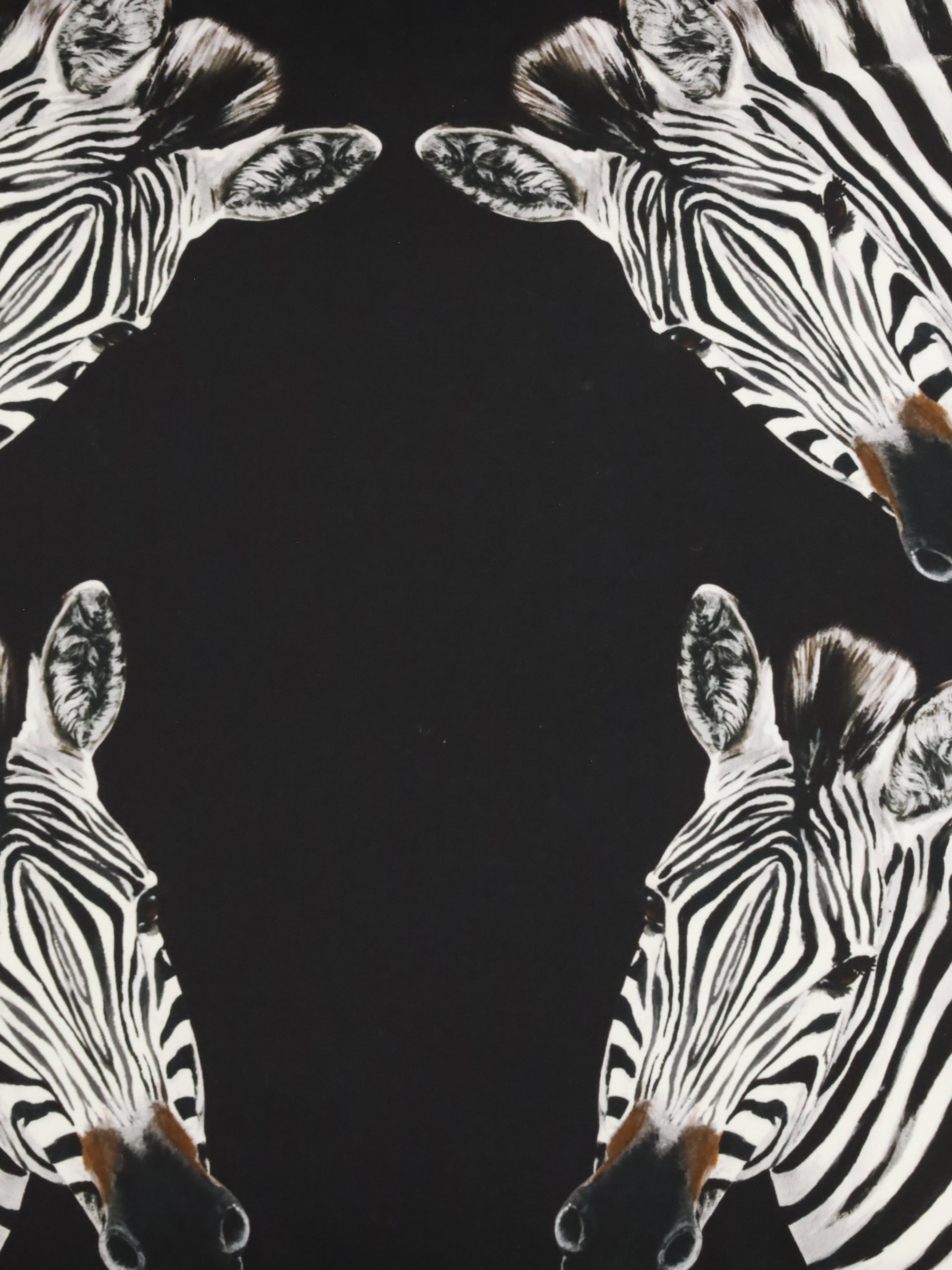 DOLCE &amp; GABBANA OS cotton duchesse pillow