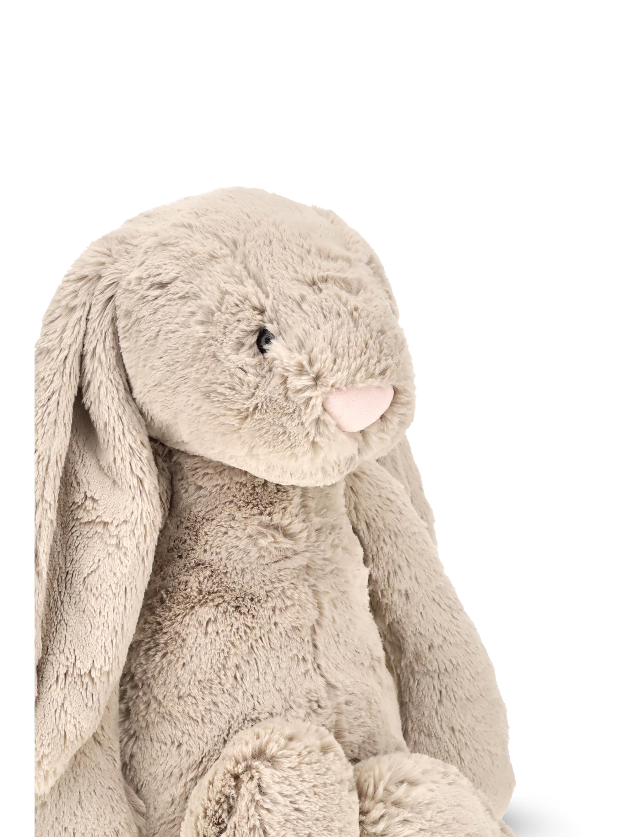 large bashful bunny plush toy