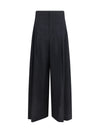 tech cotton poplin pants