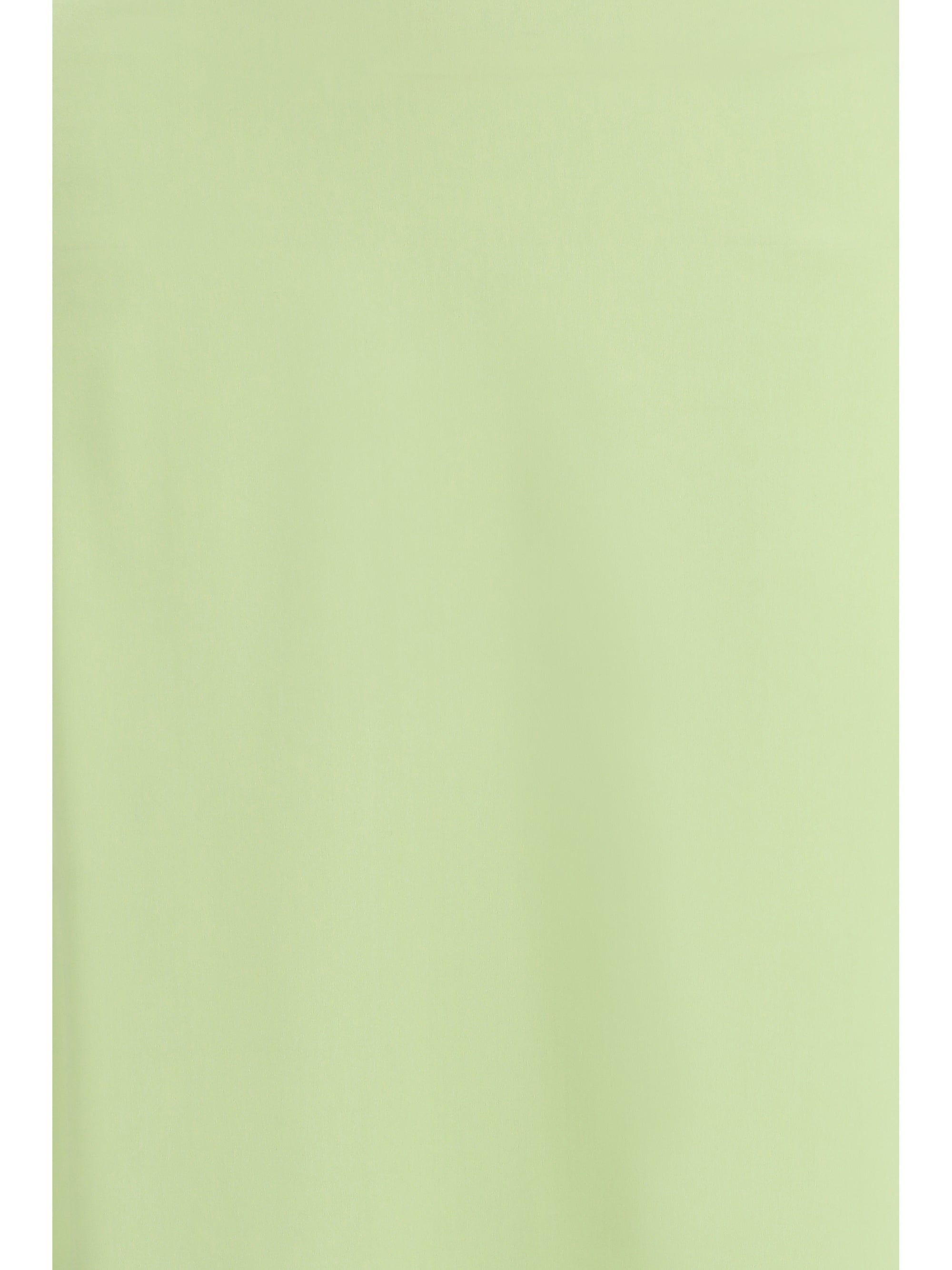 classic long silk skirt
