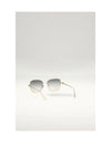 diortribales s1upr sunglasses