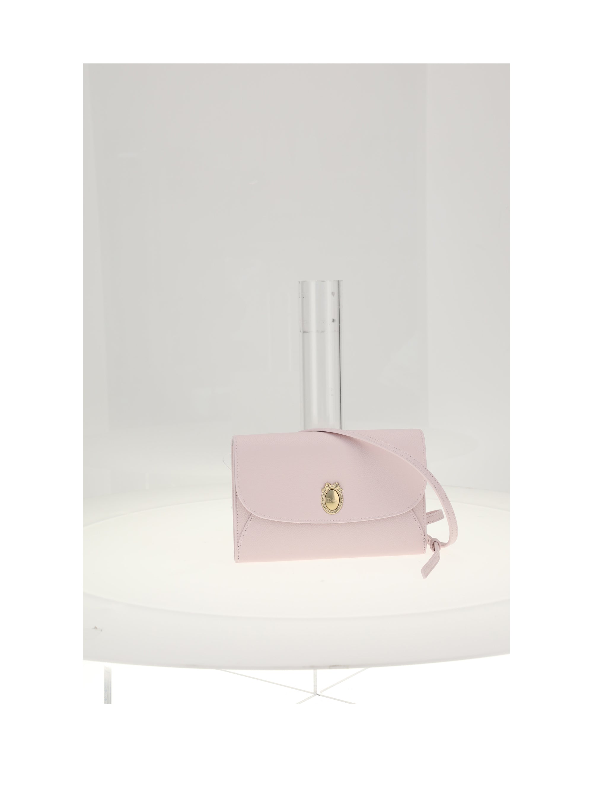 dior medallion bag