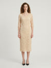 white lace midi sheath dress