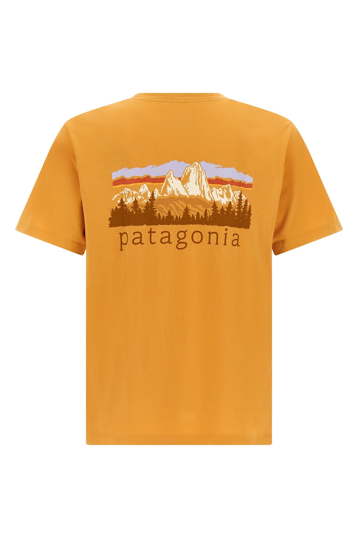 the patagonia fitz roy foothills t-shirt