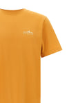 the patagonia fitz roy foothills t-shirt