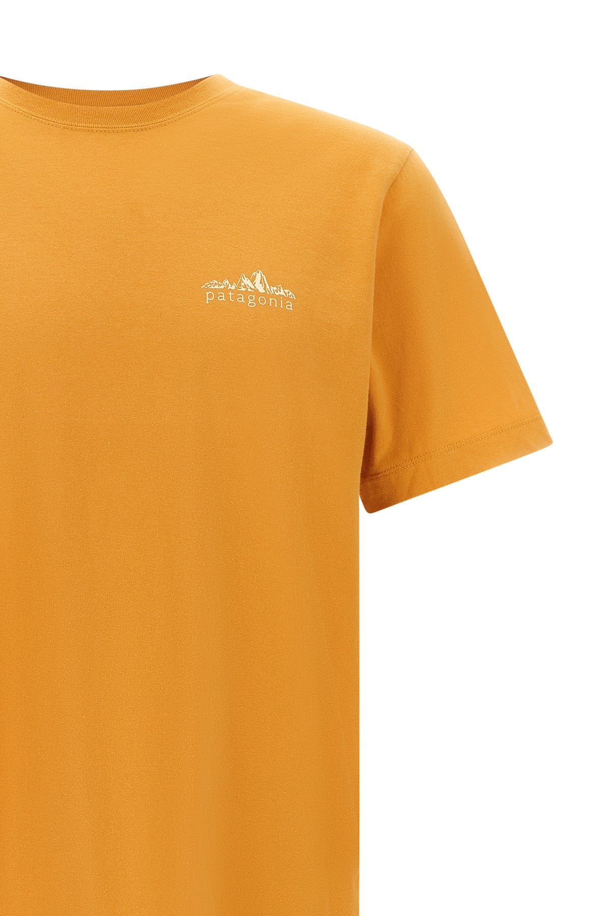 the patagonia fitz roy foothills t-shirt