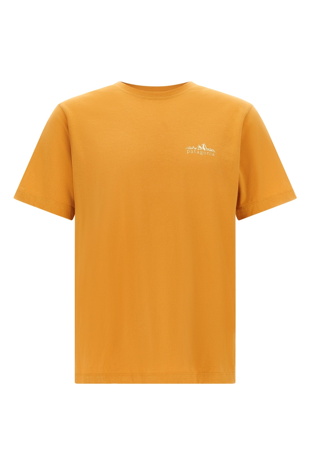 the patagonia fitz roy foothills t-shirt