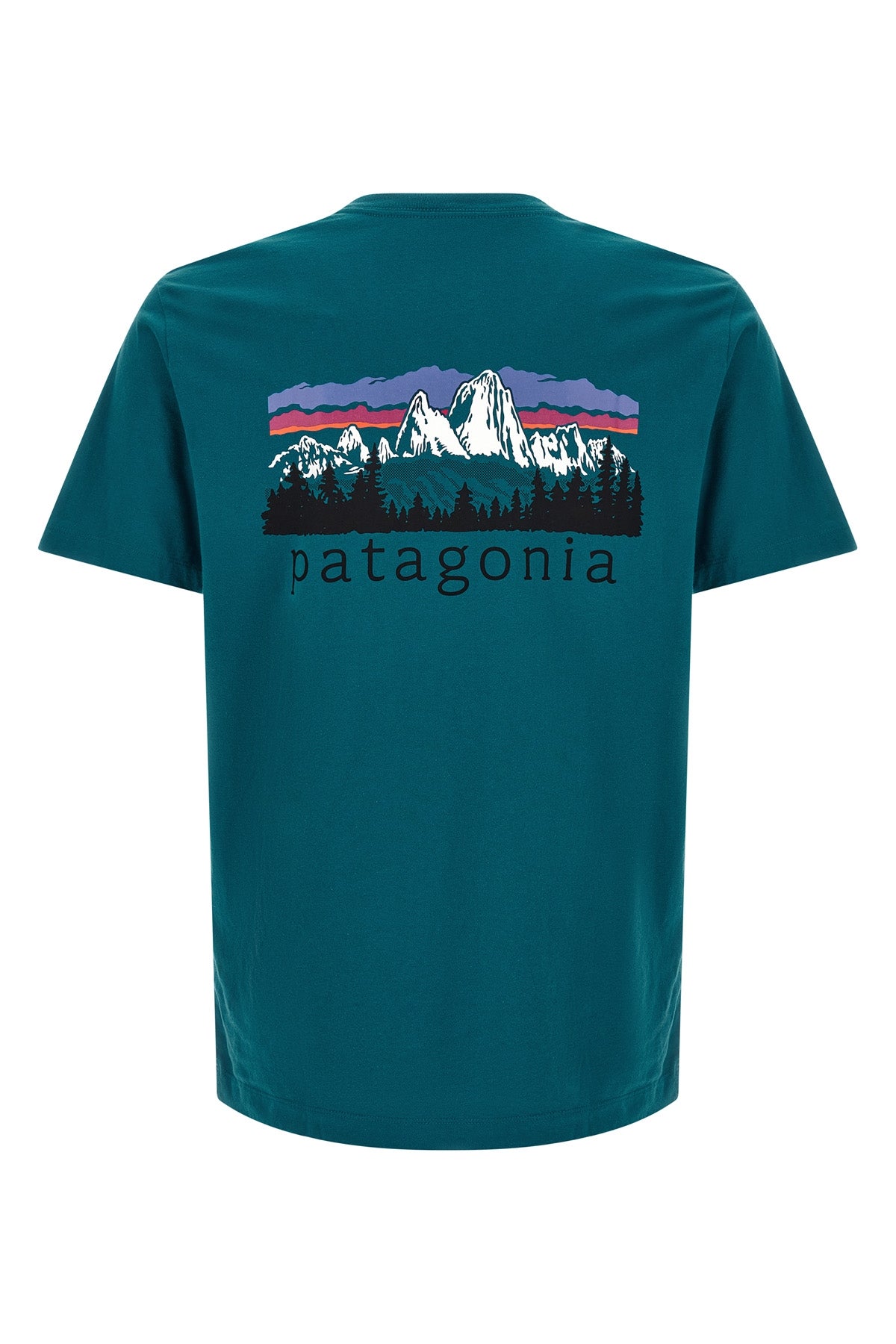 the patagonia fitz roy foothills pure cotton t-shirt