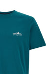 the patagonia fitz roy foothills pure cotton t-shirt