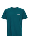 the patagonia fitz roy foothills pure cotton t-shirt