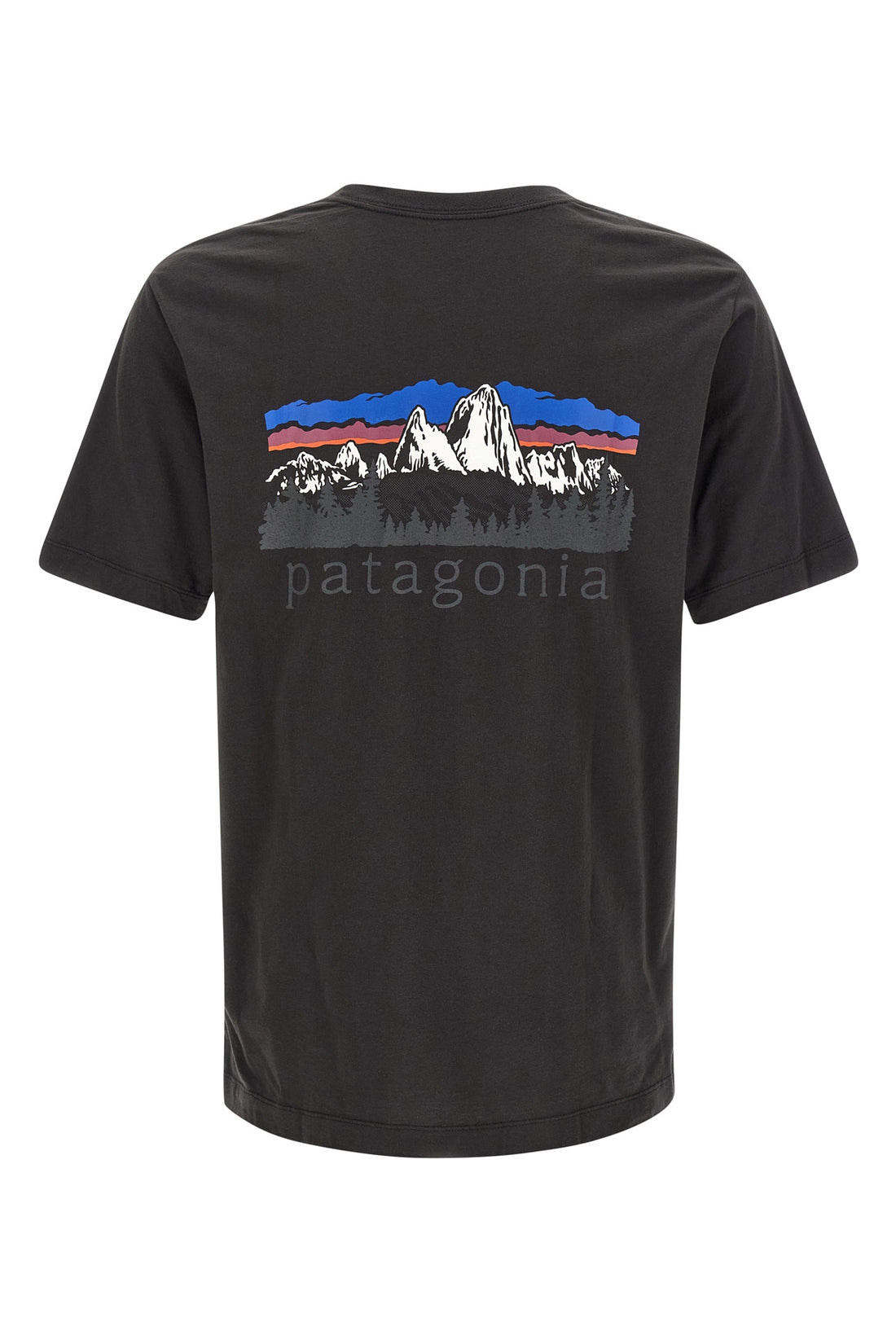 PATAGONIA L the patagonia fitz roy foothills t-shirt
