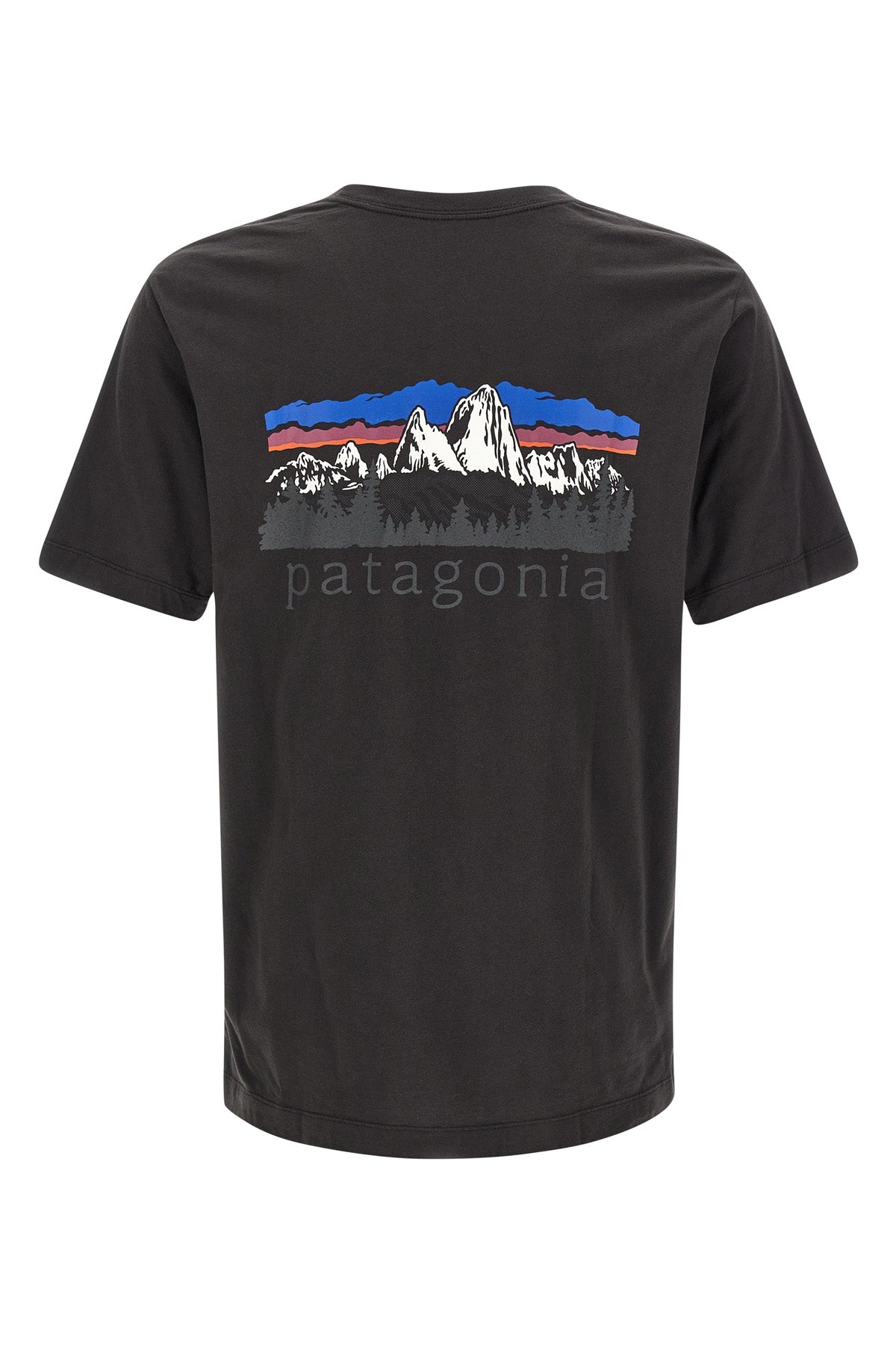 the patagonia fitz roy foothills t-shirt