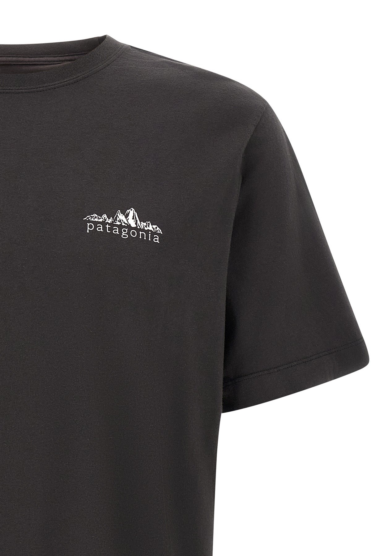 the patagonia fitz roy foothills t-shirt