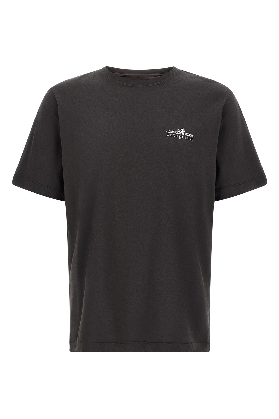 PATAGONIA L the patagonia fitz roy foothills t-shirt